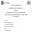 Impacto de la producción cañera en la tierra, aire y salud humana