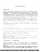 FISIOLOGÍA CELULAR