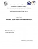 CASO CLINICO: SINDROME DE STEVENS JOHNSON/ NECRÓLISIS EPIDÉRMICA TÓXICA
