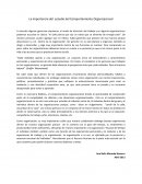 La importancia del estudio del Comportamiento Organizacional