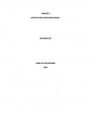 ESTRUCTURA ORGANIZACIONAL