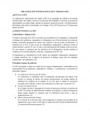 ORGANIZACIÓN INTERNACIONAL DEL TRABAJO (OIT)