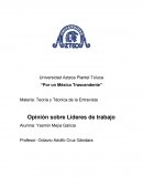 Por un México trascendente