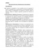ORGANIZACION DEL PROGRAMA DE SEGURIDAD