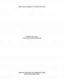 HÁBITOS SALUDABLES Y CONDICIÓN FÍSICA