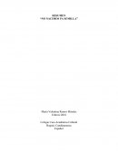 RESUMEN “NO NACIMOS PA SEMILLA”