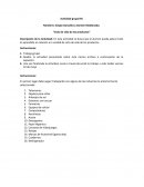 Análisis del ciclo de vida de las aerolíneas: Posicionamiento de marca y estrategias competitivas