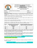 Taller de elasticidad