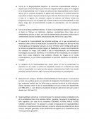 Avance Informe Responsabilidad civil