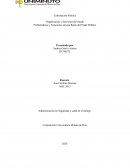 Problemáticas y Soluciones de una Rama del Poder Público