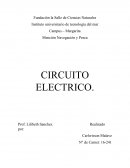 Circuito electrico