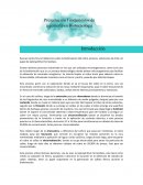 Biolixiviacion del cobre