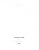 Tecnologia sin zanja