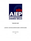 Analisis caso Logistica y gestion de importaciones y exportaciones