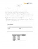 PRUEBA 2 CASOS FET102 Antropología