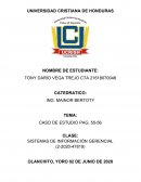 Sistema de información gerencial