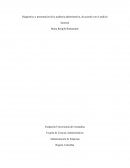 DIAGNOSTICO Y PRESENTACIÓN DE LA AUDITORIA ADMINISTRATIVA