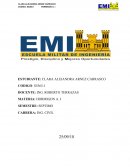 ENSAYO N° 5 GRANULOMETRIA DE AGREGADO FINO