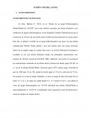 TURBINA MICHELL BANKI