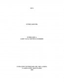 CLASIFICACIÓN ARANCELARIA