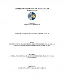 PRESUPUESTO DE MATERIA PRIMA, PRESUPUESTO DE MANO DE OBRA, Y PRESUPUESTO DE COSTOS INDIRECTOS DE FABRICACIÓN