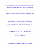 PROPUESTA ESTRATEGIA DE EVALUACIÓN 3ER PERIODO EDUCACION PRIMARIA