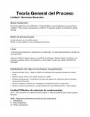 Teoría General del Proceso. Litigio