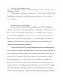 Reporte metodologia lean manufacturing