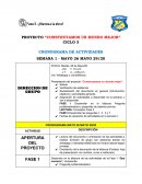 PROYECTO “CONSTRUYAMOS UN MUNDO MEJOR”