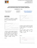 APLICACIÓN DEL MURA CON CÁMARA VIDEOCOM