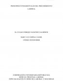 PRINCIPIOS FUNDAMENTALES DEL PROCEDIMIENTO LABORAL