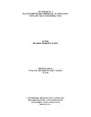 PLANTEAMIENTO DEL PROBLEMA CUANTITATIVO. NIVEL DE VIDA E INGENIERIA CIVIL