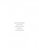 COMUNICACION ORAL ESCRITA SEMANA 2 TAREA