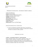 Programa de Seguridad e Higiene Laboral. Mecanización Agrícola