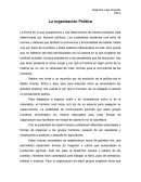 CELA La organización Política