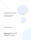 Entregable N°3 Gestión de talento humano