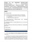 EL SISTEMA MUSCULAR: ESTRUCTURA Y FUNCIONES