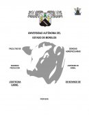 ENSAYO: INOCUIDAD Y SEGURIDAD ALIMENTARIA