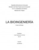 La Bioingeniería