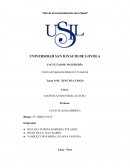 EFECTO LÁTIGO DE CATERPILLAR INC