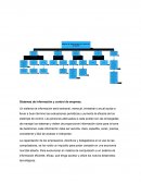 Sistemas de información y control de empresa