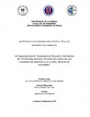 ESTABILIZACIÓN DE TRANQUES DE RELAVES POR MEDIO DE FITOESTABILIZACIÓN, ESTUDIO DE CASOS EN LAS CIUDADES DE ANDACOLLO E ILLAPEL, REGIÓN DE COQUIMBO