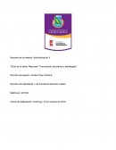 Resumen “Formulación de planes y estrategias”