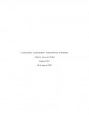 CALIDAD DE LA INDUSTRIA Y CONCEPTO DE AUDITORIA