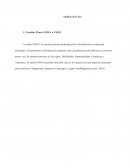 Analisis de caso. Análisis Matriz DOFA o FADO