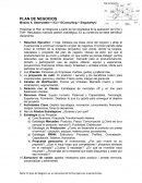 PLANTILLA PLAN DE NEGOCIOS