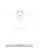 Ensayo encuentro cotelco