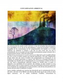 CONTAMINACION AMBIENTAL. ¿CUÁLES SON LOS CONTAMINANTES PRIMARIOS Y SECUNDARIOS MÁS PELIGROSOS?