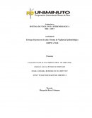Entrega del proyecto de aula: Sistema de Vigilancia Epidemiológica GRIPE AVIAR
