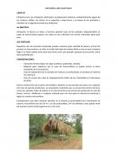 MICRORELLENO SANITARIO